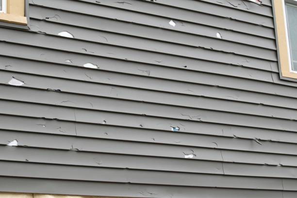 Siding for Multi-Family Homes in Macon, IL